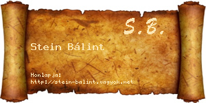 Stein Bálint névjegykártya